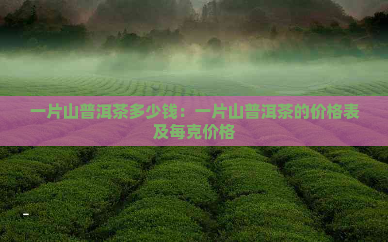 一片山普洱茶多少钱：一片山普洱茶的价格表及每克价格