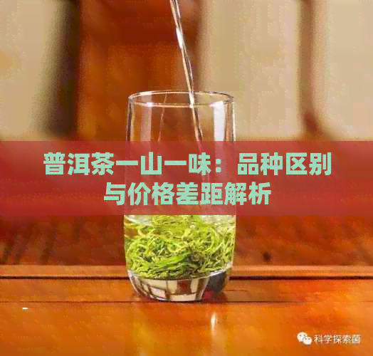 普洱茶一山一味：品种区别与价格差距解析