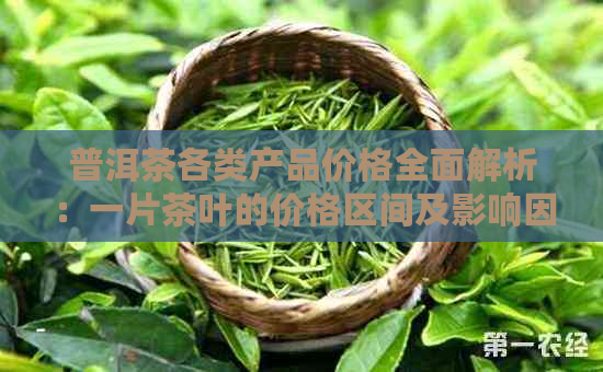 普洱茶各类产品价格全面解析：一片茶叶的价格区间及影响因素