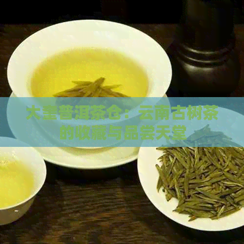 大奎普洱茶仓：云南古树茶的收藏与品尝天堂