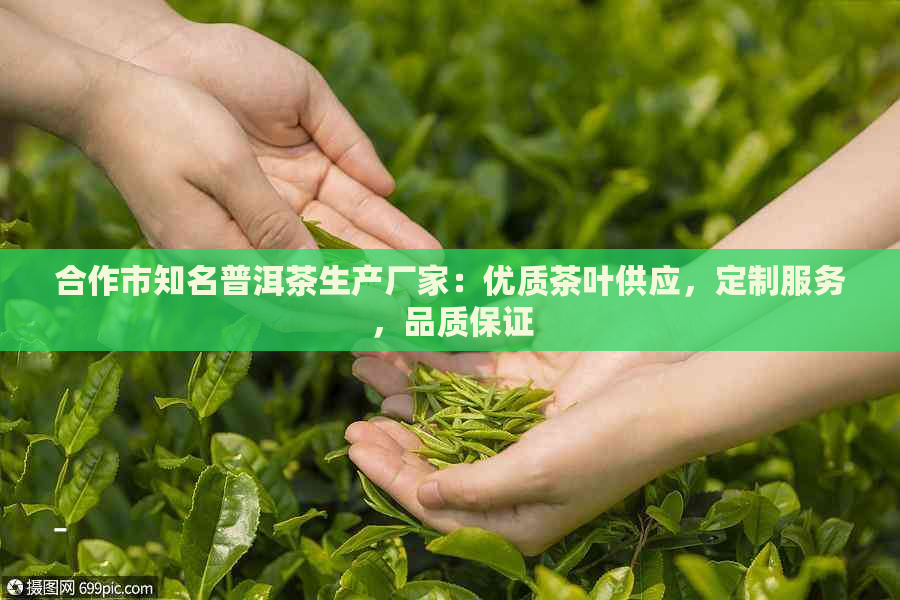 合作市知名普洱茶生产厂家：优质茶叶供应，定制服务，品质保证