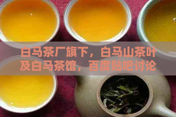 白马茶厂旗下，白马山茶叶及白马茶馆，百度贴吧讨论区热议。