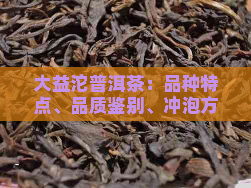 大益沱普洱茶：品种特点、品质鉴别、冲泡方法与收藏价值全面解析