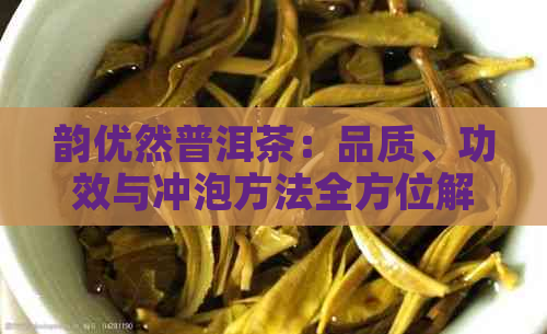 韵优然普洱茶：品质、功效与冲泡方法全方位解析，让你了解普洱茶的精髓