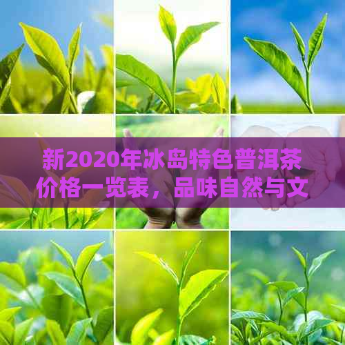 新2020年冰岛特色普洱茶价格一览表，品味自然与文化的完美融合