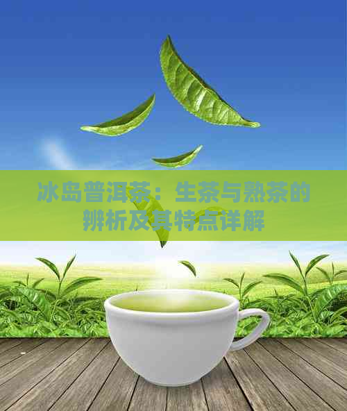 冰岛普洱茶：生茶与熟茶的辨析及其特点详解