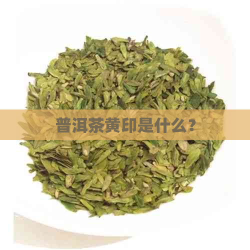 普洱茶黄印是什么？