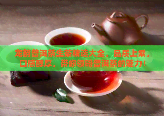 龙韵普洱茶生茶精选大全，品质上乘，口感醇厚，带你领略普洱茶的魅力！