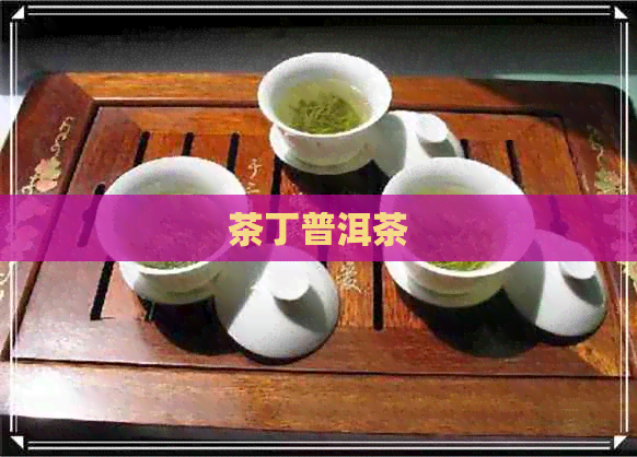 茶丁普洱茶