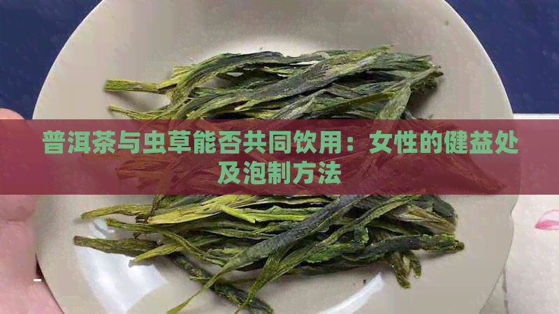 普洱茶与虫草能否共同饮用：女性的健益处及泡制方法