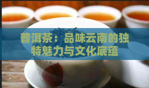 普洱茶：品味云南的独特魅力与文化底蕴