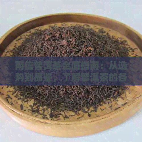 南信普洱茶全面指南：从选购到品鉴，了解普洱茶的各个方面