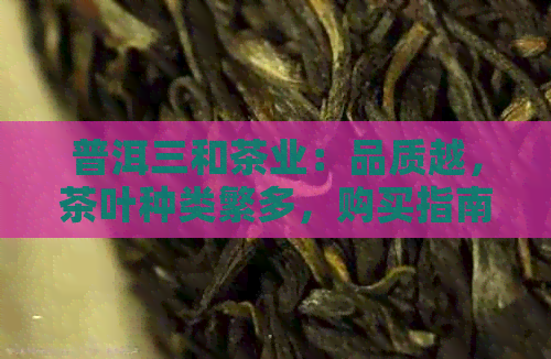 普洱三和茶业：品质越，茶叶种类繁多，购买指南一应俱全