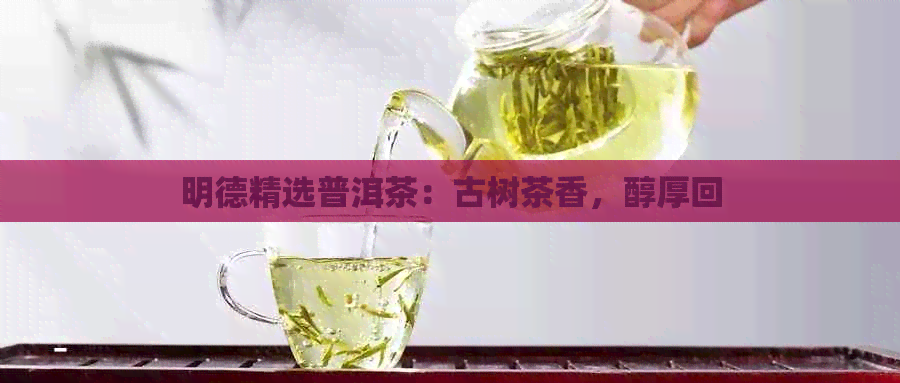 明德精选普洱茶：古树茶香，醇厚回