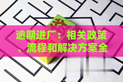 逾期进厂：相关政策、流程和解决方案全解析，帮助您顺利进入工厂