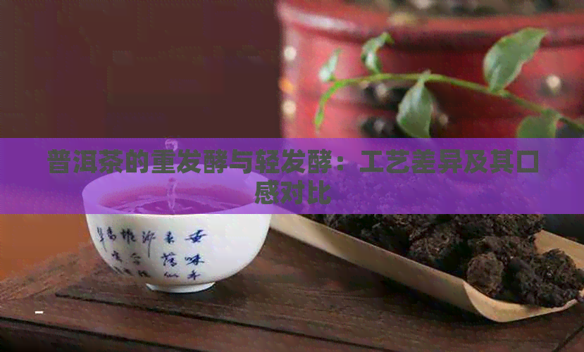 普洱茶的重发酵与轻发酵：工艺差异及其口感对比