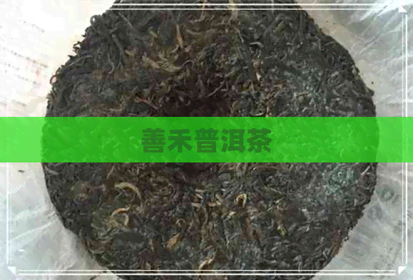 善禾普洱茶