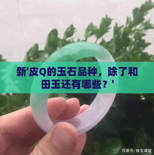 新'皮Q的玉石品种，除了和田玉还有哪些？'