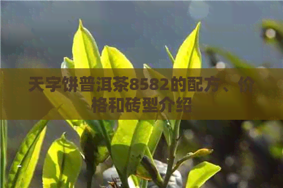 天字饼普洱茶8582的配方、价格和砖型介绍