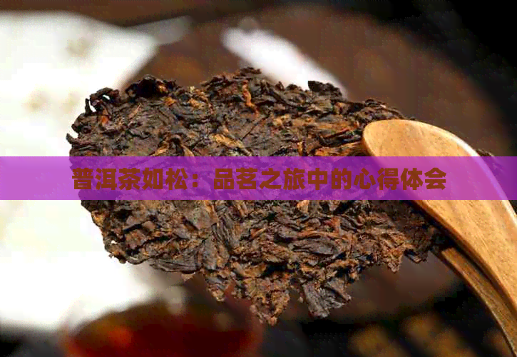 普洱茶如松：品茗之旅中的心得体会