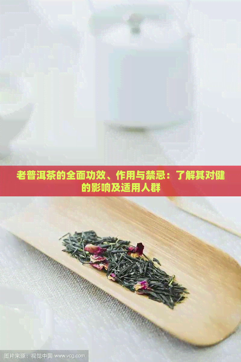 老普洱茶的全面功效、作用与禁忌：了解其对健的影响及适用人群