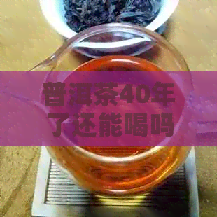 普洱茶40年了还能喝吗？为什么？有吗？