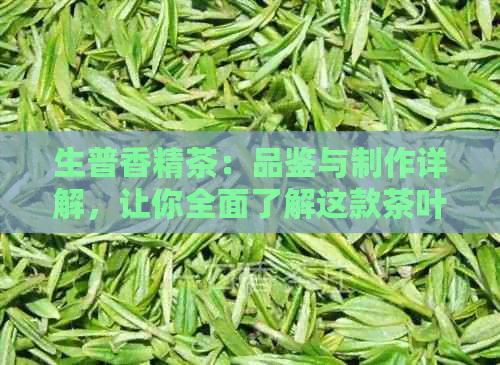 生普香精茶：品鉴与制作详解，让你全面了解这款茶叶的魅力与技巧