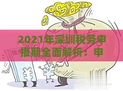 2021年深圳税务申报期全面解析：申报流程、时间、所需材料与注意事项