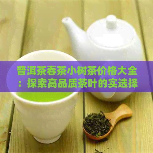 普洱茶春茶小树茶价格大全：探索高品质茶叶的实选择及品鉴技巧