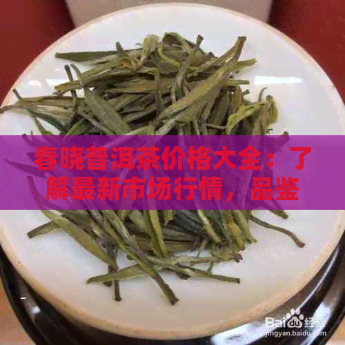 春晓普洱茶价格大全：了解最新市场行情，品鉴高品质茶香。