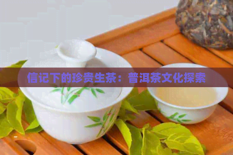 信记下的珍贵生茶：普洱茶文化探索