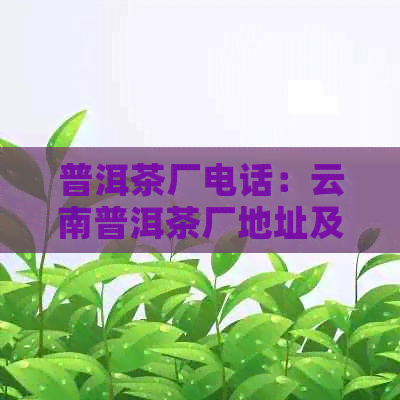 普洱茶厂电话：云南普洱茶厂地址及联系方式