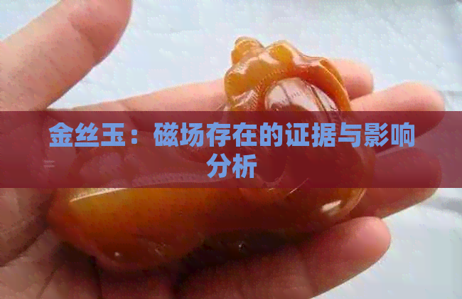 金丝玉：磁场存在的证据与影响分析