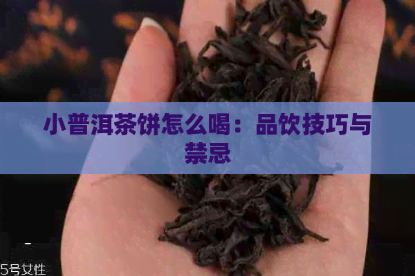 小普洱茶饼怎么喝：品饮技巧与禁忌