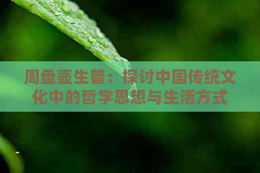 周盘壶生普：探讨中国传统文化中的哲学思想与生活方式