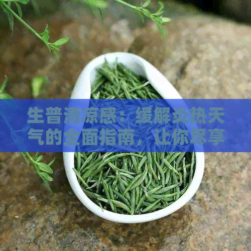 生普清凉感：缓解炎热天气的全面指南，让你尽享适与健