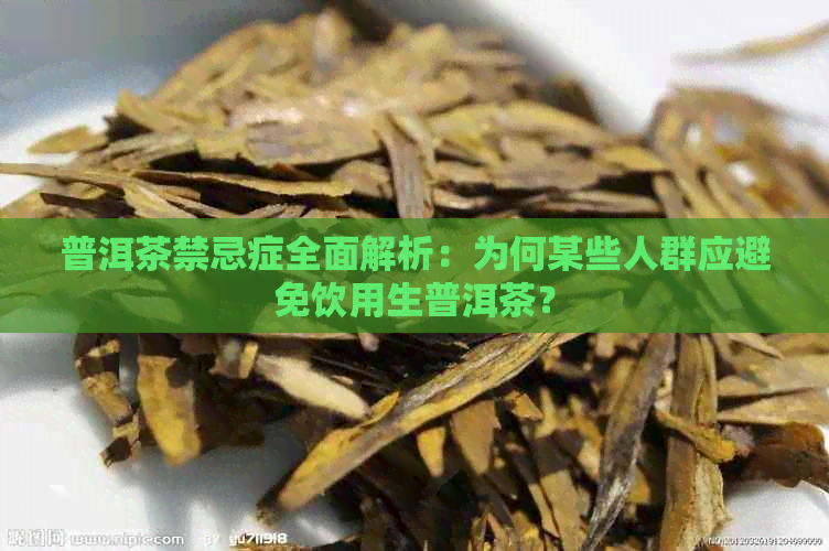 普洱茶禁忌症全面解析：为何某些人群应避免饮用生普洱茶？