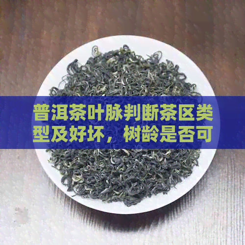 普洱茶叶脉判断茶区类型及好坏，树龄是否可从中看出？