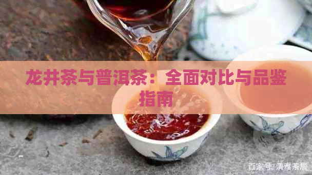 龙井茶与普洱茶：全面对比与品鉴指南