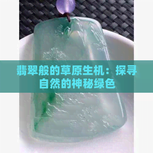 翡翠般的草原生机：探寻自然的神秘绿色