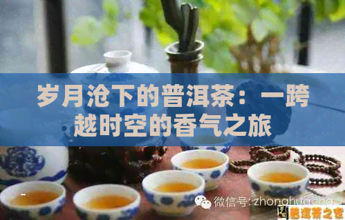 岁月沧下的普洱茶：一跨越时空的香气之旅