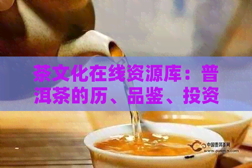 茶文化在线资源库：普洱茶的历、品鉴、投资与收藏信息全方位解析