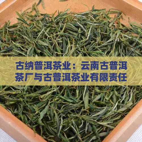 古纳普洱茶业：云南古普洱茶厂与古普洱茶业有限责任公司的全貌