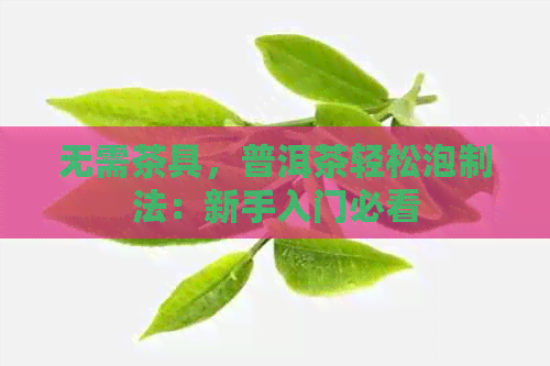 无需茶具，普洱茶轻松泡制法：新手入门必看