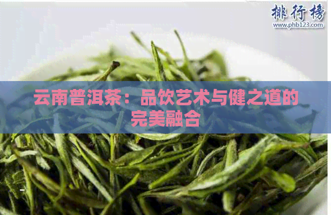 云南普洱茶：品饮艺术与健之道的完美融合