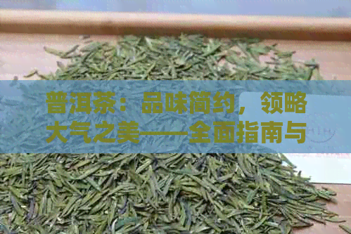 普洱茶：品味简约，领略大气之美——全面指南与推荐