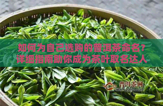 如何为自己选购的普洱茶命名？详细指南助你成为茶叶取名达人！