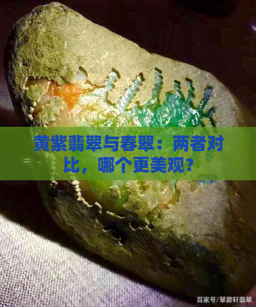 黄紫翡翠与春翠：两者对比，哪个更美观？