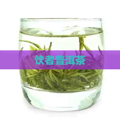 饮者普洱茶