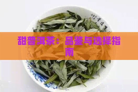 甜普洱茶：品鉴与选择指南